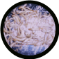 500 CT-Meal Worms  